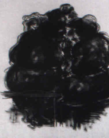 Elfriede Lohse-W�chtler